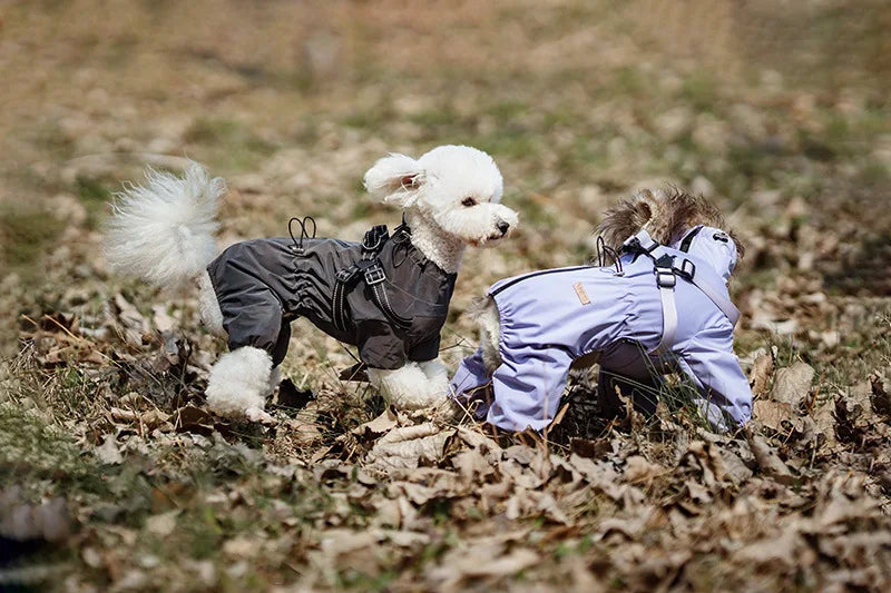 Purely Pawsome™ Dog Raincoat with Harness - Waterproof 4-Leg Rain Jacket for Small Dogs