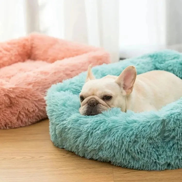 Purely Pawsome™ Rectangle Plush Dog Bed - Winter Warm Mat for Small, Medium & Big Pets