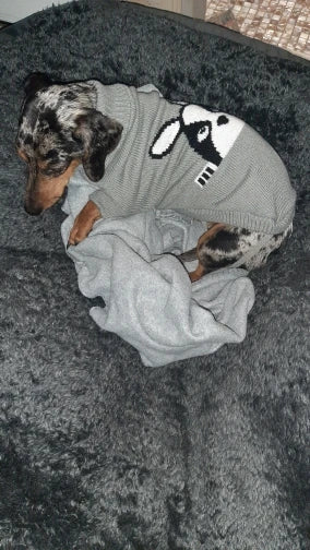 Purely Pawsome™ Cozy Knitted Dog Sweater - Winter Warmth for Small & Medium Dogs