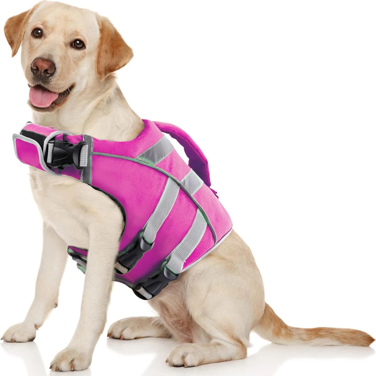 Purely Pawsome™ Premium Waterproof Dog Life Jacket - Reflective Safety Vest for Water Adventures