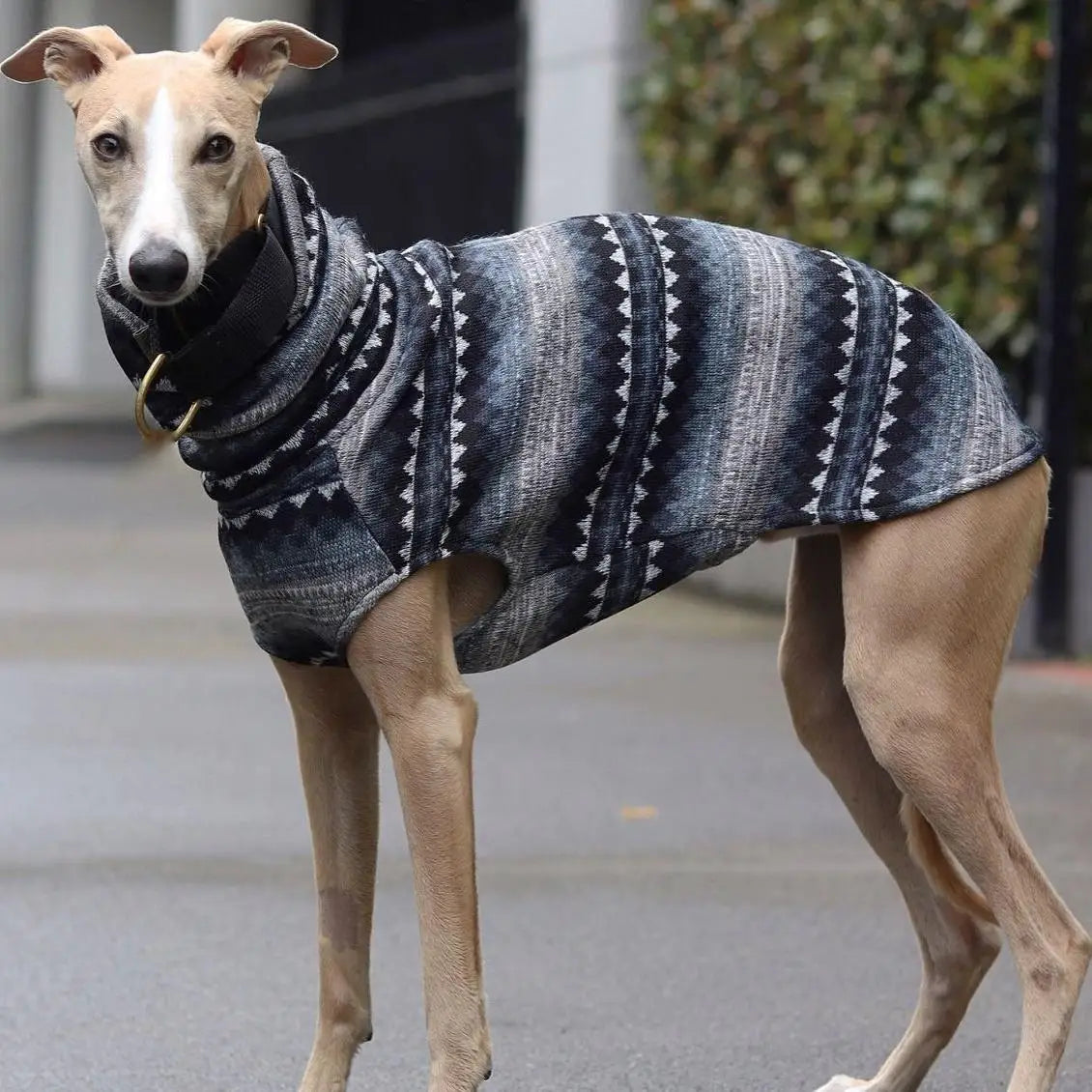 Purely Pawsome™ Winter Fleece Turtleneck Vest - Bohemia Style for Whippets & Italian Greyhounds
