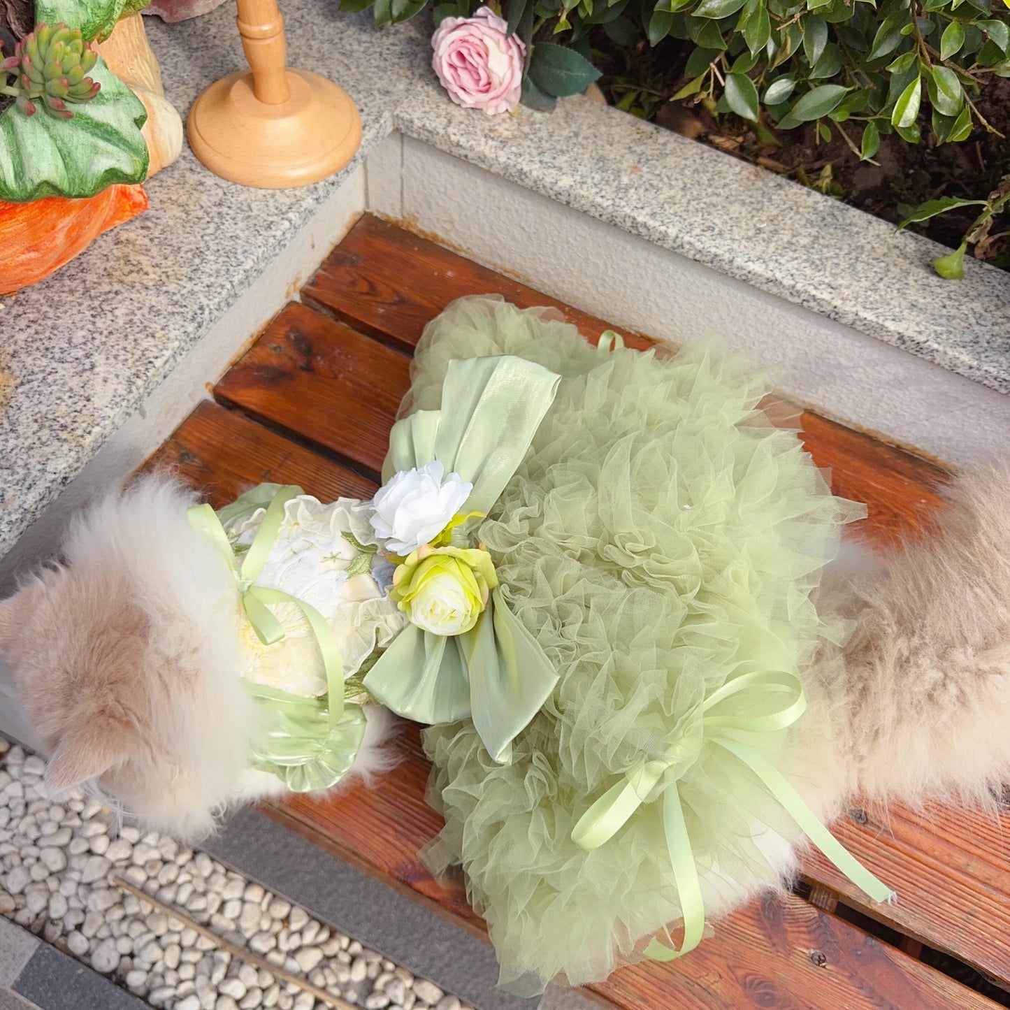 Purely Pawsome™ Luxury Green Dog Party Dress - Handmade Embroidered Lace Gown