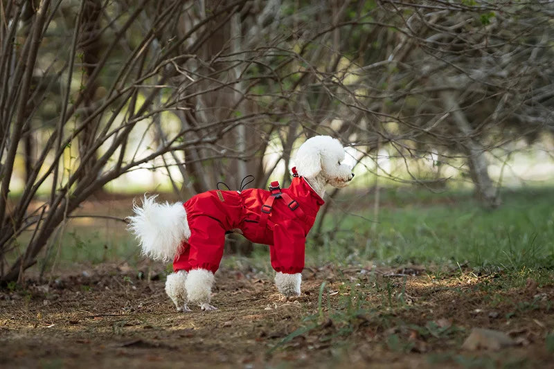 Purely Pawsome™ Dog Raincoat with Harness - Waterproof 4-Leg Rain Jacket for Small Dogs