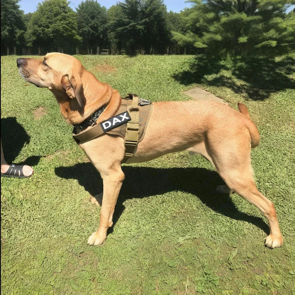 Purely Pawsome™ Tactical Dog Vest - Training Military Patrol Service Dog Harness with Handle