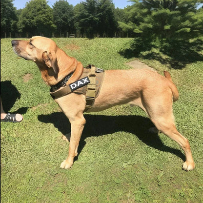 Purely Pawsome™ Tactical Dog Vest - Training Military Patrol Service Dog Harness with Handle