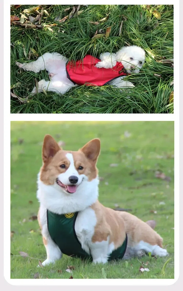 Purely Pawsome™ Dog Belly Cover - Breathable Anti-Dirty Waterproof Belly Band Apron