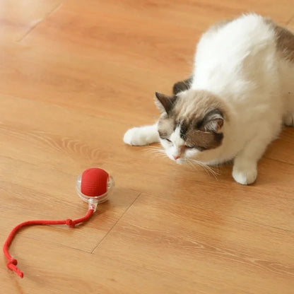 Purely Pawsome™ Cat Interactive Ball Toy - Automatic Rolling Rechargeable Smart Kitten Ball