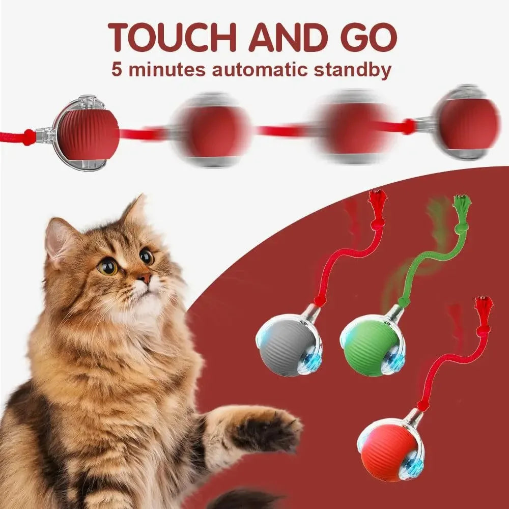 Purely Pawsome™ Cat Interactive Ball Toy - Automatic Rolling Rechargeable Smart Kitten Ball