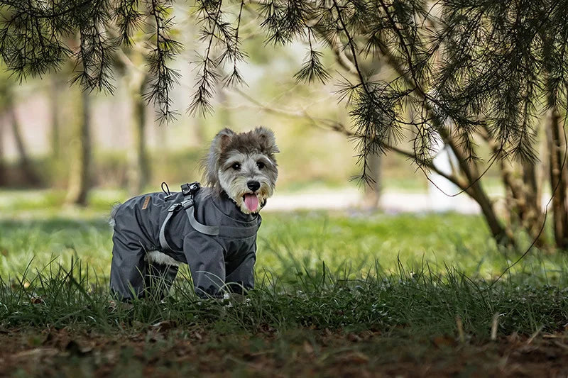 Purely Pawsome™ Dog Raincoat with Harness - Waterproof 4-Leg Rain Jacket for Small Dogs