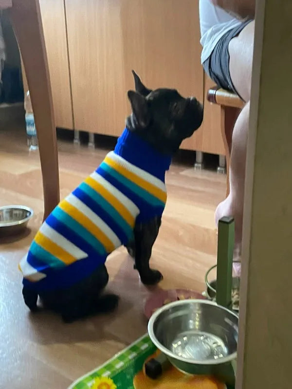 Purely Pawsome™ Cozy Knitted Dog Sweater - Winter Warmth for Small & Medium Dogs