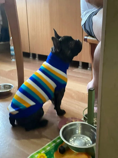 Purely Pawsome™ Cozy Knitted Dog Sweater - Winter Warmth for Small & Medium Dogs
