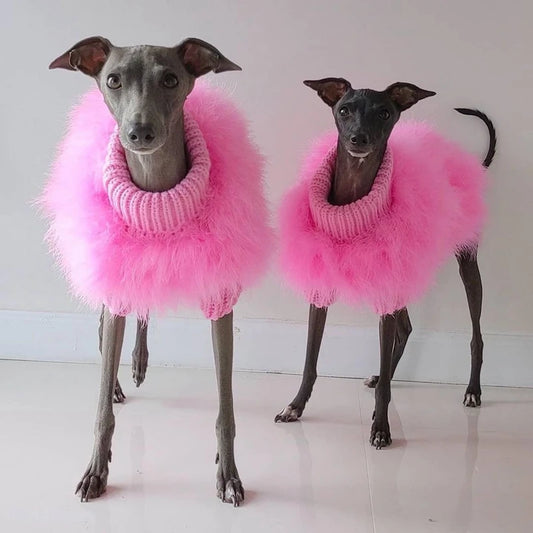 Purely Pawsome™ Pet Colorful Sweater - Luxury Designer Fur Coat for Small Dogs & Cats