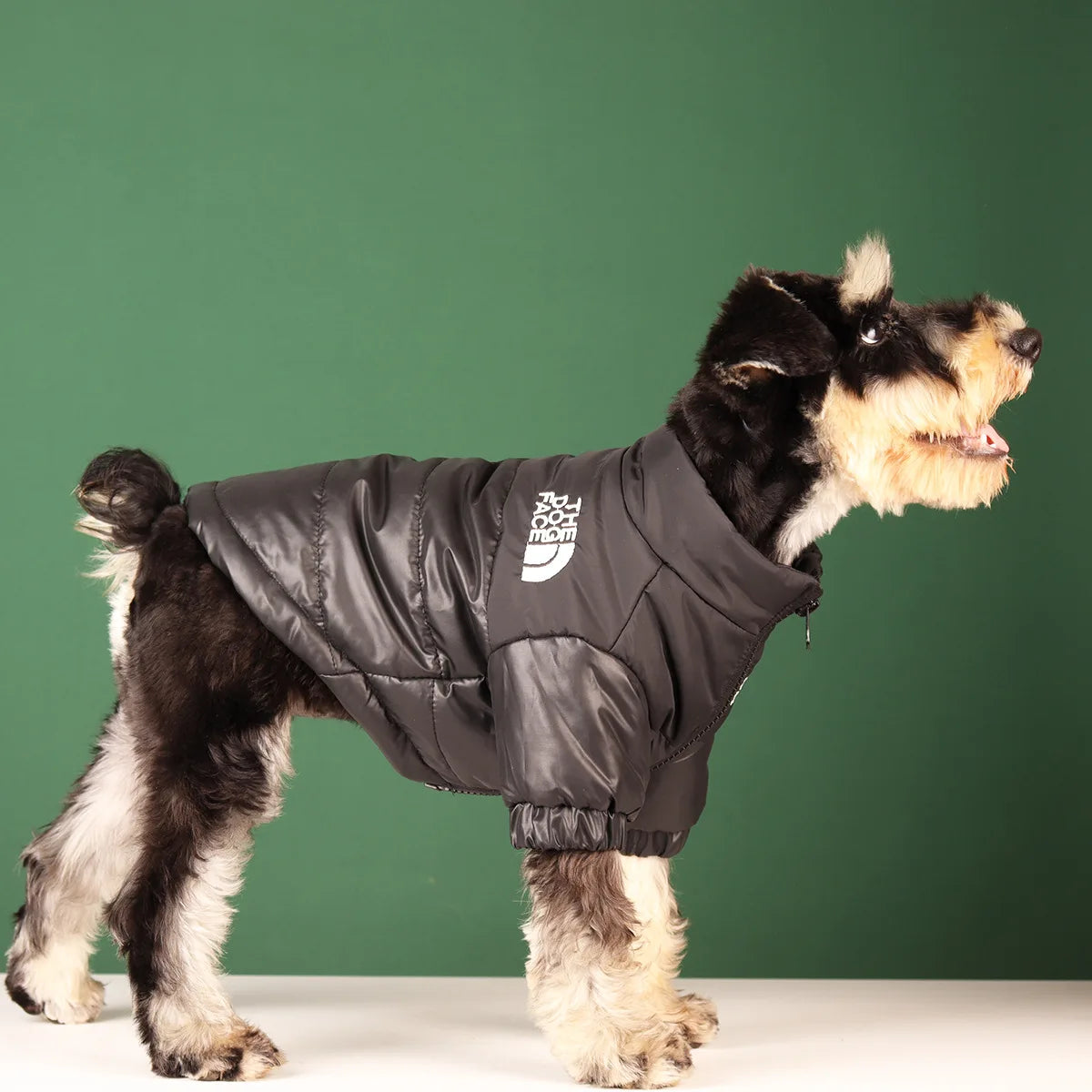 Purely Pawsome™ Reflective Windproof Dog Jacket - Warm Winter Coat for Small & Medium Dogs
