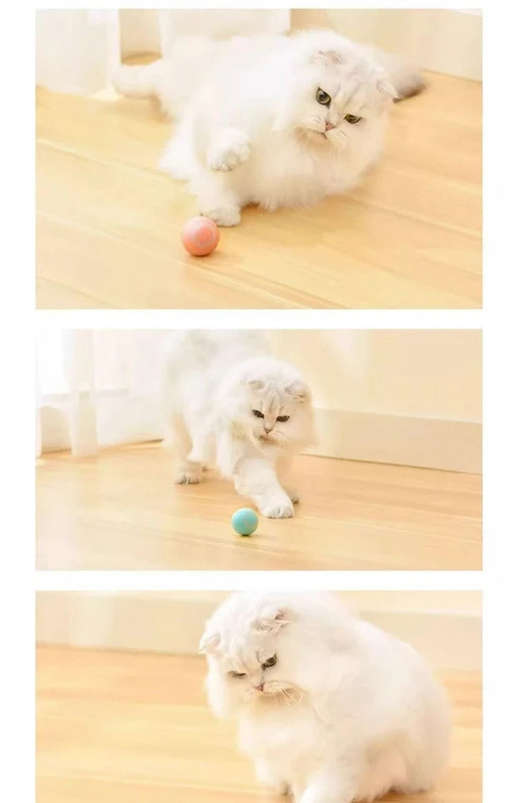 Purely Pawsome™ Interactive Cat Ball - Automatic Indoor Rolling Cat Toy Electric Smart Ball