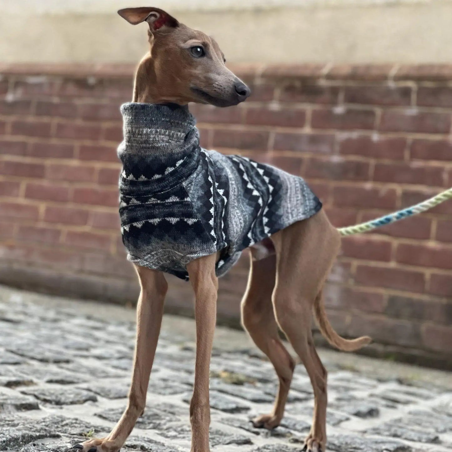 Purely Pawsome™ Winter Fleece Turtleneck Vest - Bohemia Style for Whippets & Italian Greyhounds