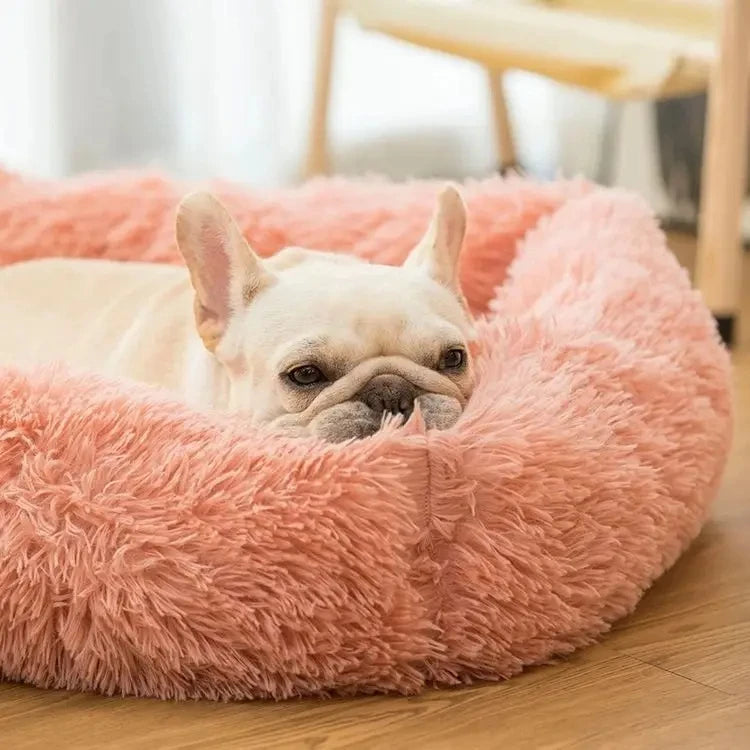 Purely Pawsome™ Rectangle Plush Dog Bed - Winter Warm Mat for Small, Medium & Big Pets