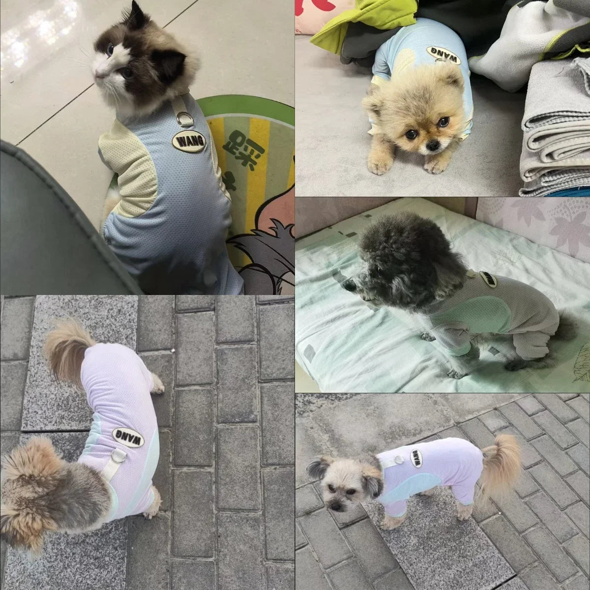 Purely Pawsome™ Ice Silk Dog Cooling Jumpsuit - Breathable Summer Mesh Vest