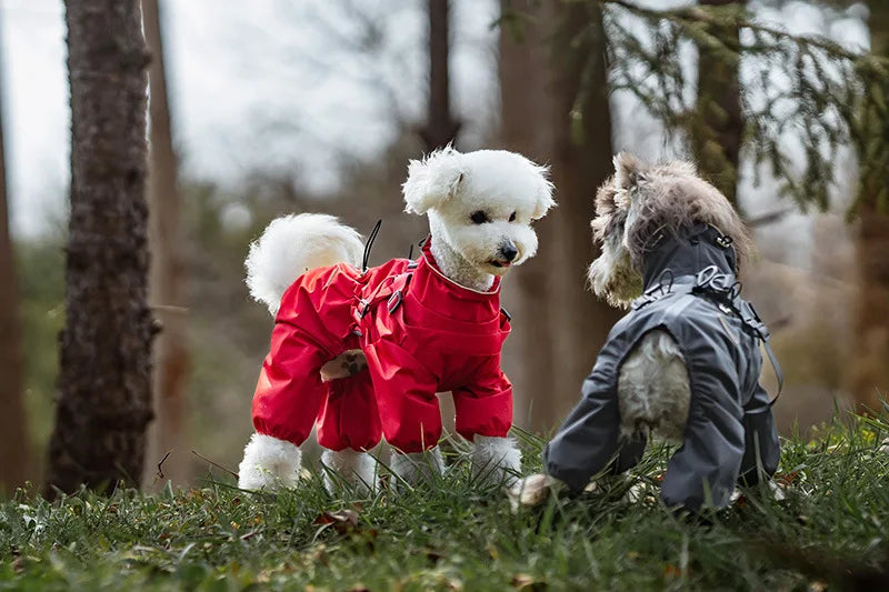 Purely Pawsome™ Dog Raincoat with Harness - Waterproof 4-Leg Rain Jacket for Small Dogs