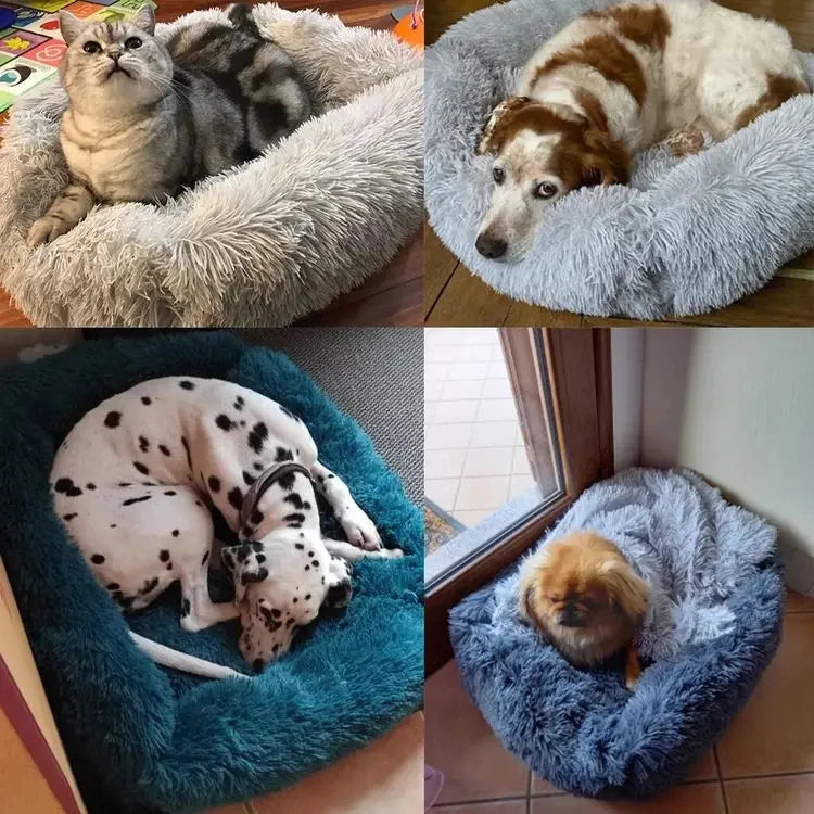 Purely Pawsome™ Rectangle Plush Dog Bed - Winter Warm Mat for Small, Medium & Big Pets