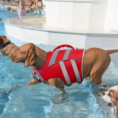 Purely Pawsome™ Premium Waterproof Dog Life Jacket - Reflective Safety Vest for Water Adventures