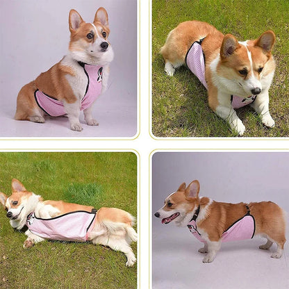 Purely Pawsome™ Dog Belly Cover - Breathable Anti-Dirty Waterproof Belly Band Apron