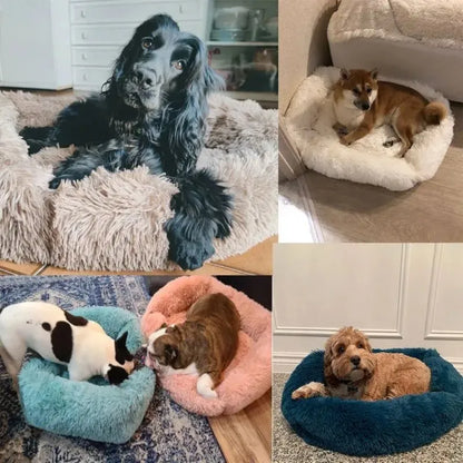 Purely Pawsome™ Rectangle Plush Dog Bed - Winter Warm Mat for Small, Medium & Big Pets