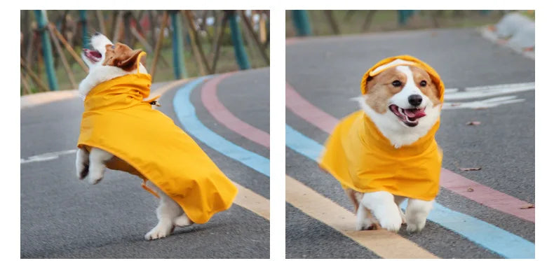 Purely Pawsome™ Waterproof Dog Raincoat - Rain Cloak Jumpsuit for All Dog Sizes (M-9XL)