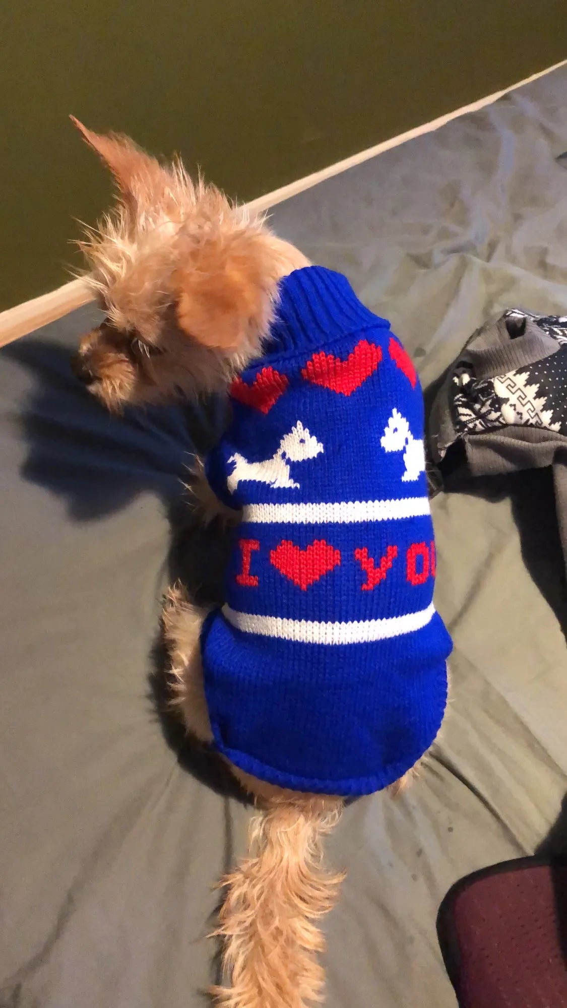 Purely Pawsome™ Cozy Knitted Dog Sweater - Winter Warmth for Small & Medium Dogs
