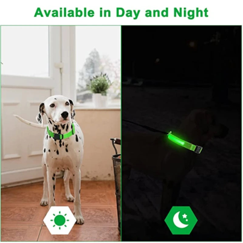 🐾 Purely Pawsome™ LED Glowing Dog Collar