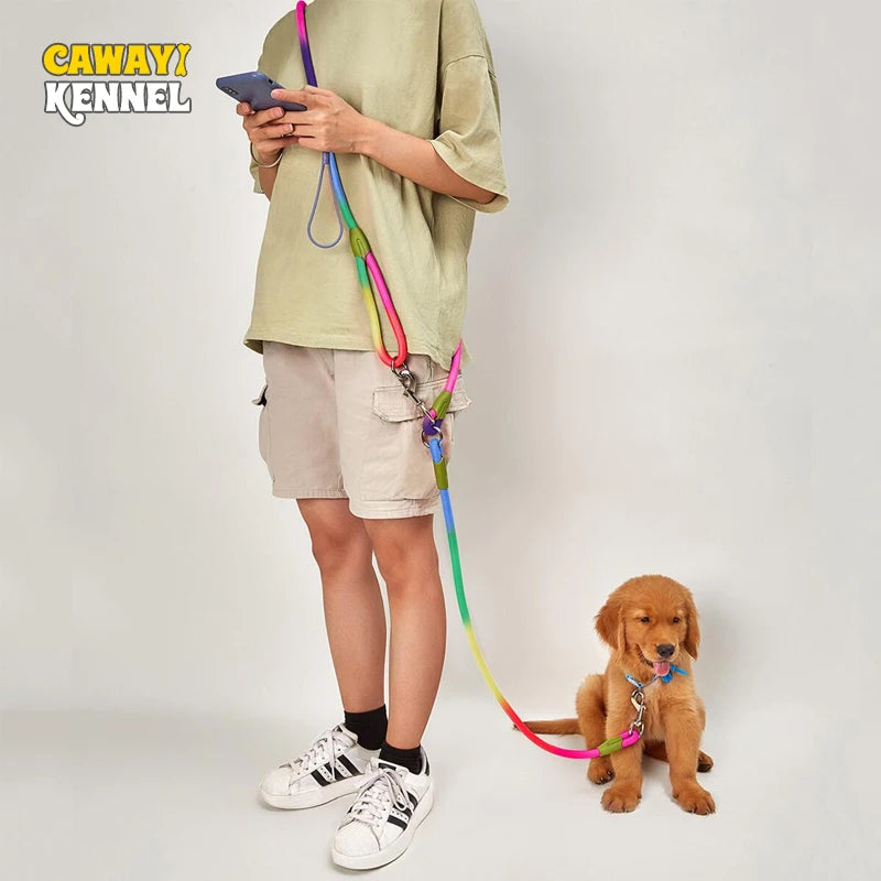 🐾 Purely Pawsome™ Reflective Nylon Dog Leash