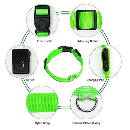 🌟 Purely Pawsome™ LED Glowing Dog Collar