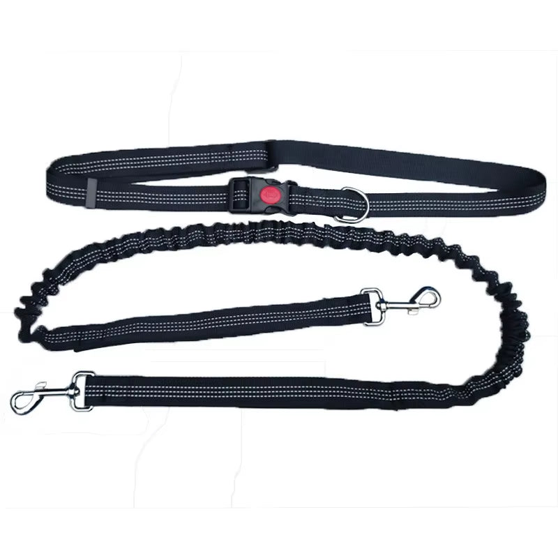 🐾 Purely Pawsome™ Hands-Free Dog Leash