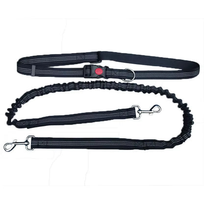 🐾 Purely Pawsome™ Hands-Free Dog Leash