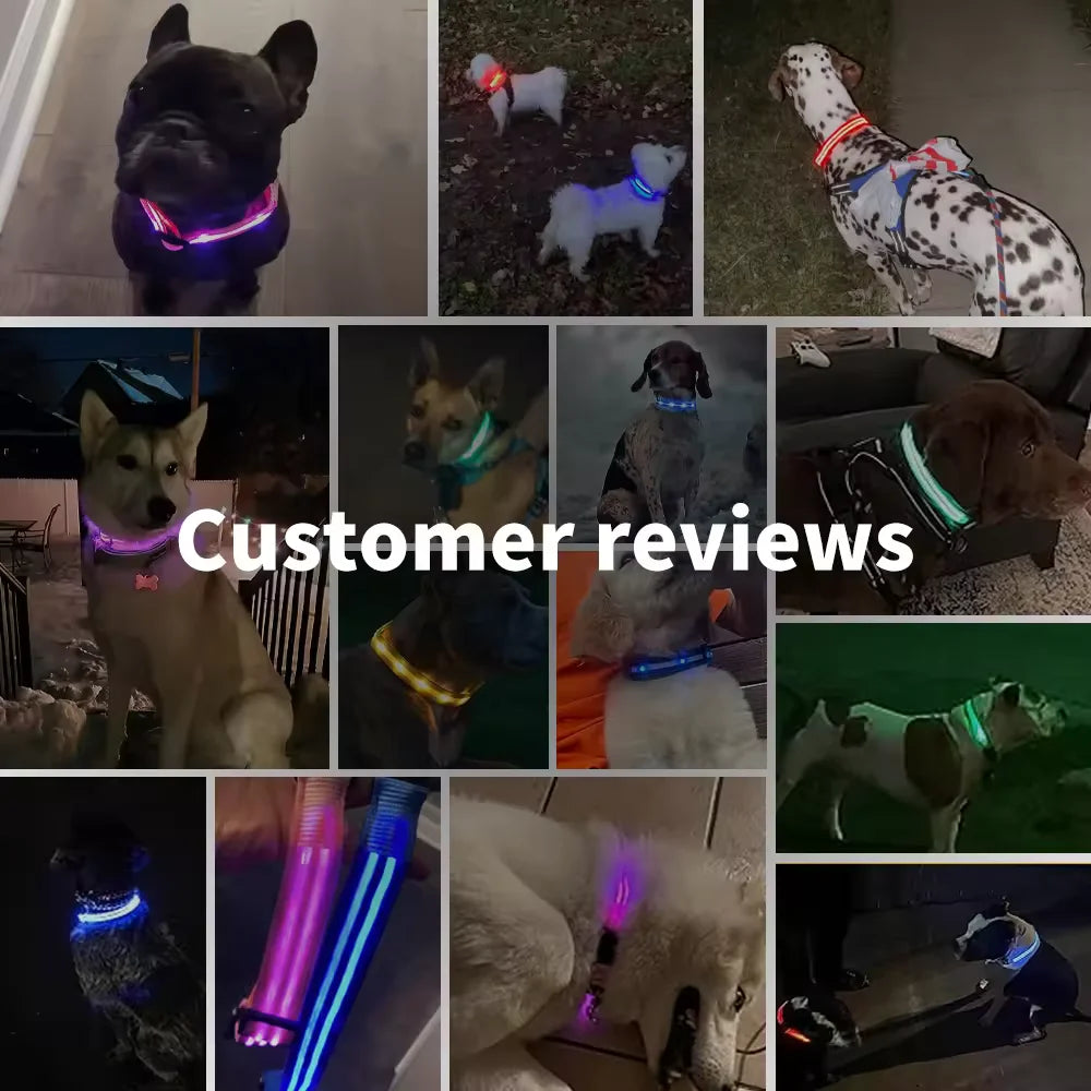 🐾 Purely Pawsome™ LED Glowing Dog Collar