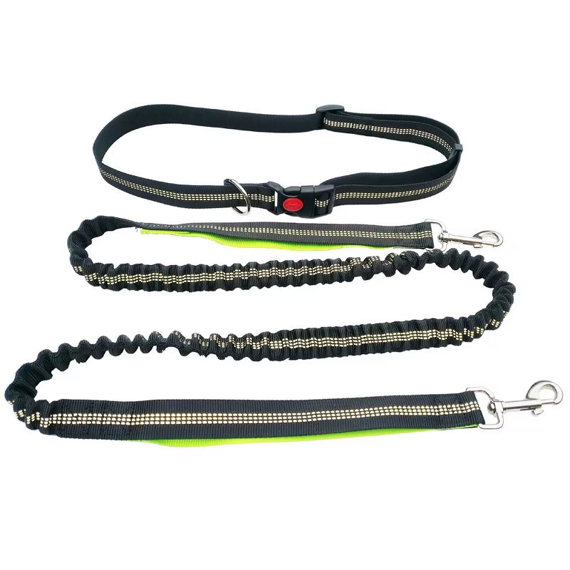 🐾 Purely Pawsome™ Hands-Free Dog Leash