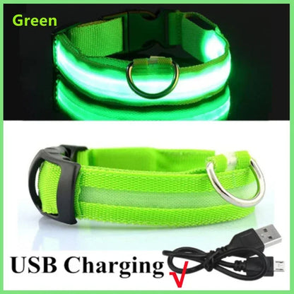 🌟 Purely Pawsome™ LED Glowing Dog Collar