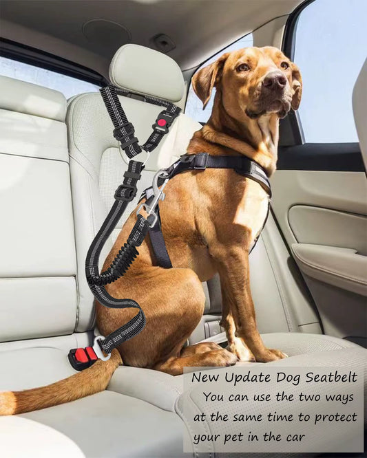 🐾 Purely Pawsome™ Adjustable Heavy Duty Dog Car Seat Belt