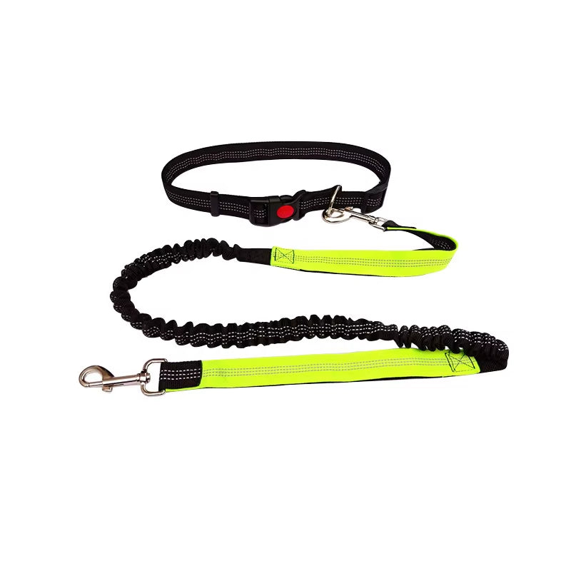 🐾 Purely Pawsome™ Hands-Free Dog Leash