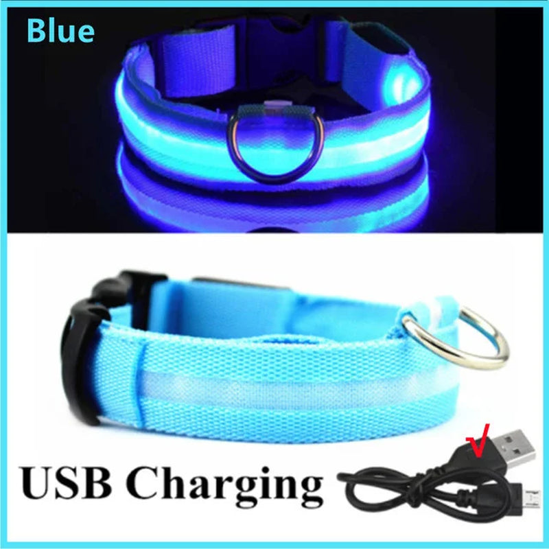 🐾 Purely Pawsome™ LED Glowing Dog Collar