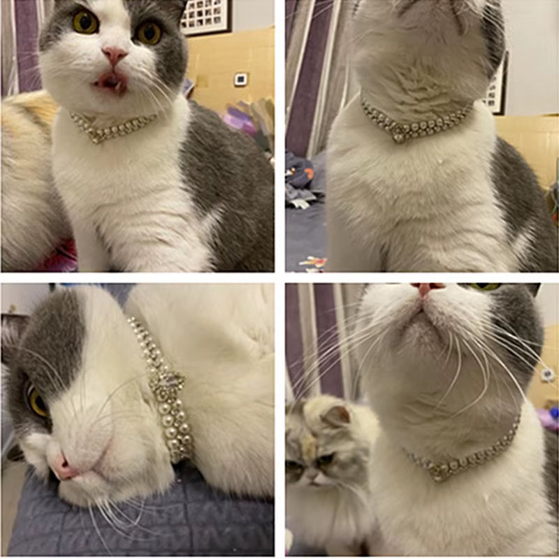Elegant Collar for Cats & Small Dogs (Ragdoll, Sphynx & More)